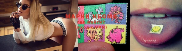 прущие грибы Алексин