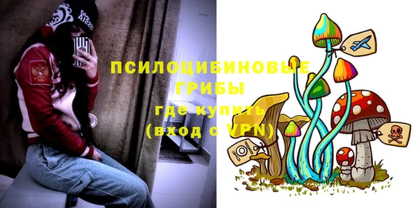 амфетамин Алексеевка