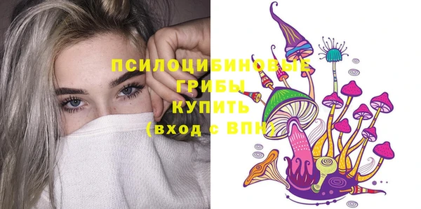 соль ск Алзамай