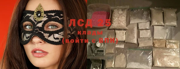 прущие грибы Алексин