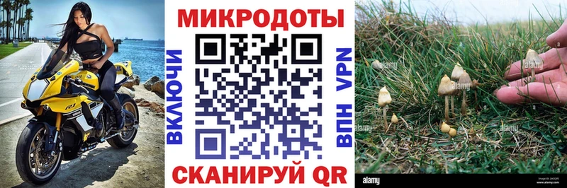 kraken tor Зеленокумск Галлюциногенные грибы Psilocybine cubensis